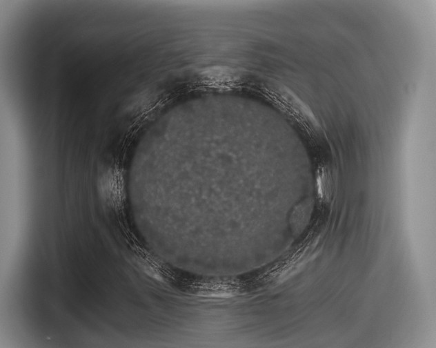 X0000115271347200911061259