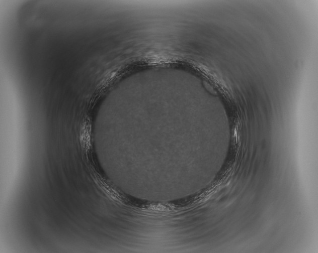 X0000115271348200911061259