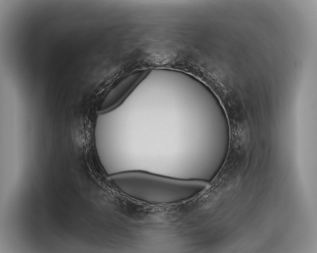 X0000115271349200911061259