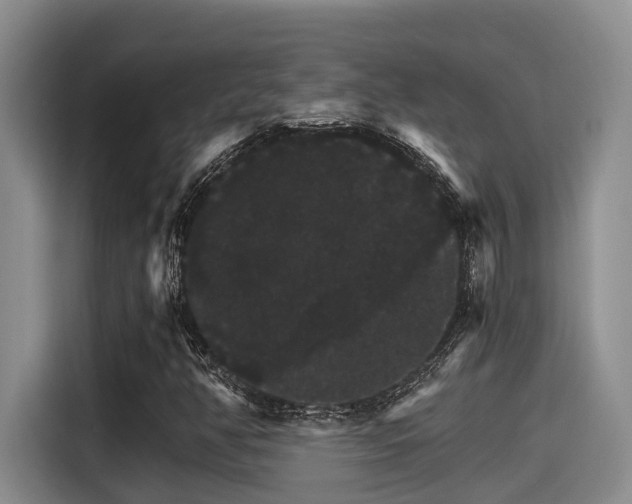 X0000115271350200911061259