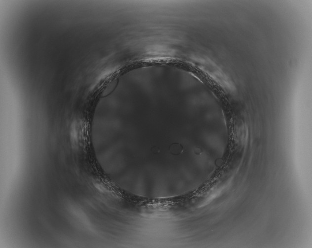 X0000115271351200911061259