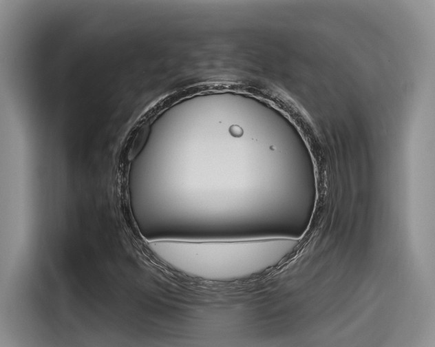 X0000115271352200911061259