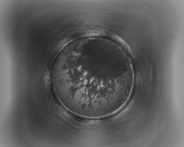 X0000115271353200911061259