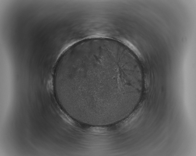 X0000115271356200911061259