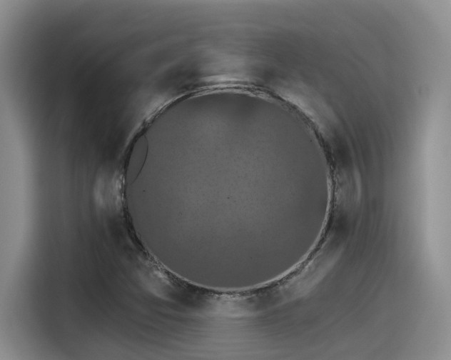 X0000115271357200911061259