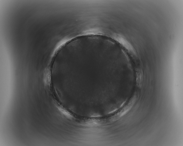 X0000115271358200911061259