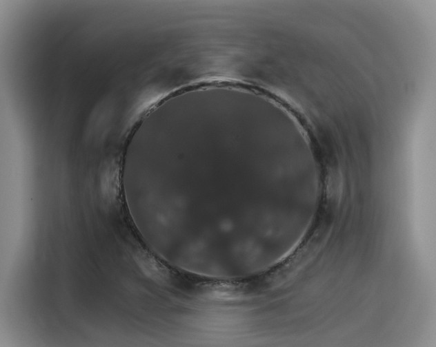 X0000115271359200911061259