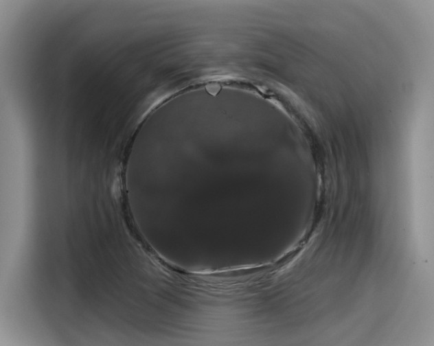 X0000115271361200911061259