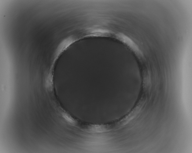 X0000115271362200911061259