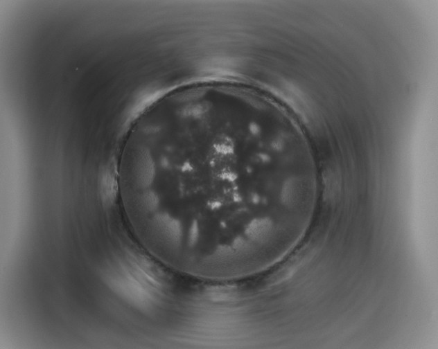 X0000115271363200911061259