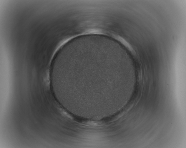 X0000115271364200911061259