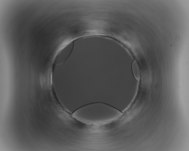 X0000115271365200911061259