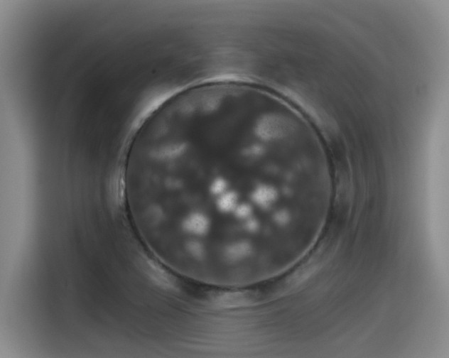 X0000115271367200911061259