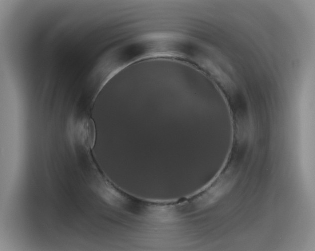 X0000115271369200911061259