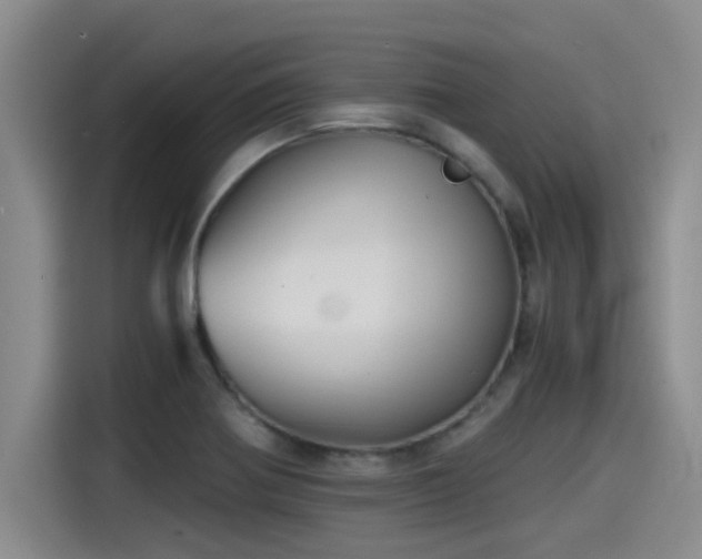 X0000115271370200911061259