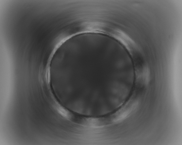 X0000115271371200911061259