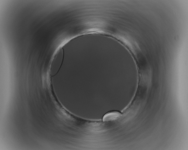 X0000115271373200911061259
