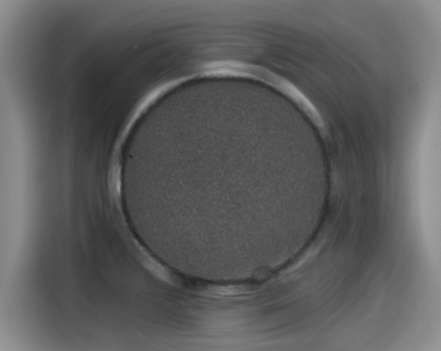 X0000115271376200911061259