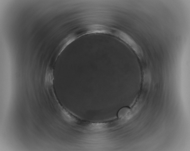 X0000115271377200911061259