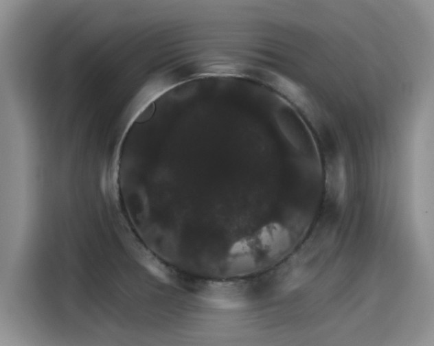 X0000115271378200911061259