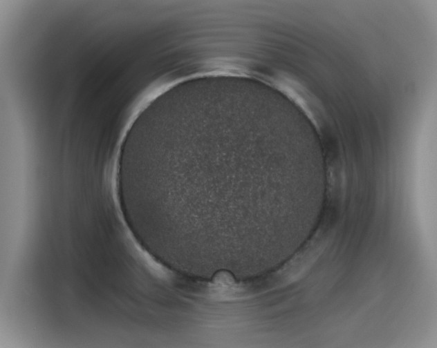X0000115271379200911061259