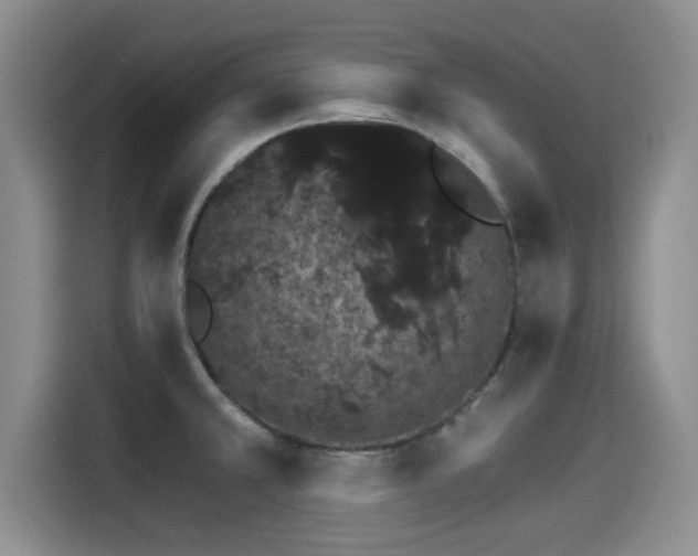 X0000115271381200911061259