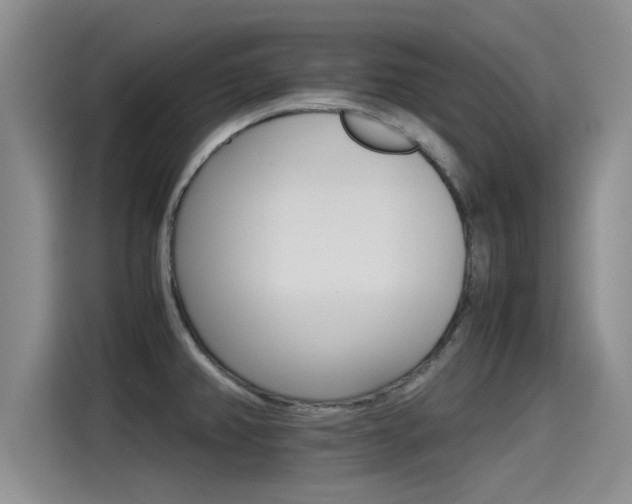 X0000115271382200911061259