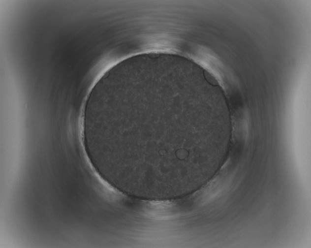 X0000115271383200911061259