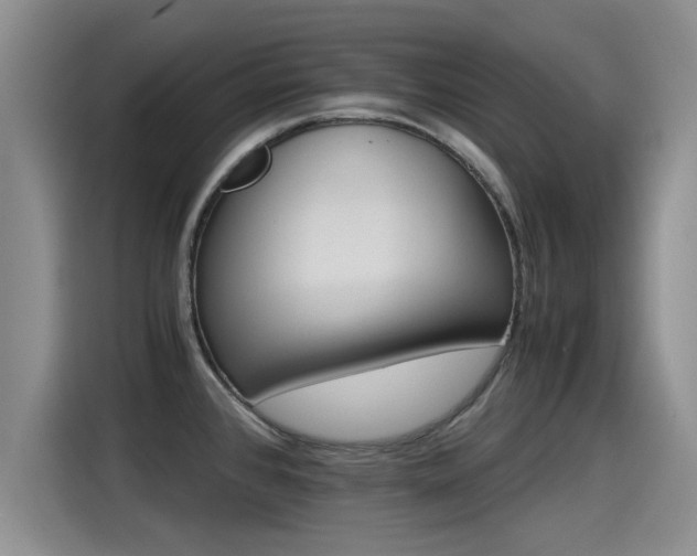 X0000115271384200911061259