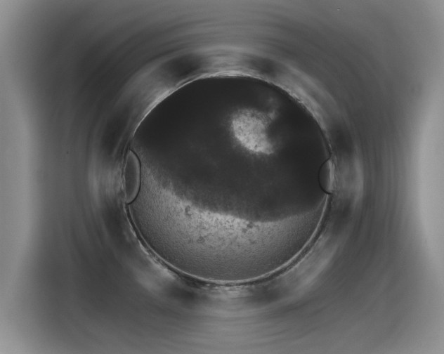X0000115271385200911061259