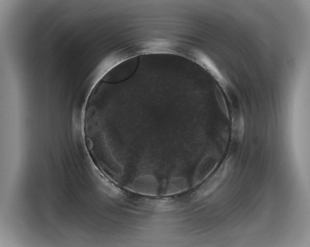 X0000115271386200911061259