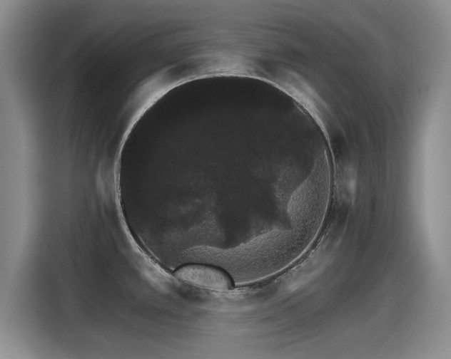 X0000115271389200911061259
