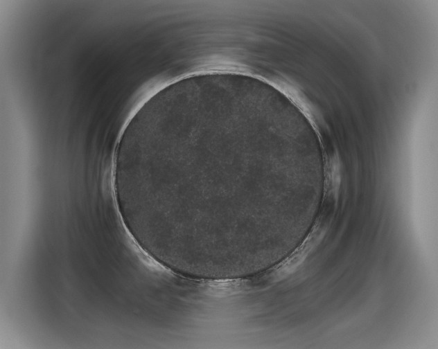 X0000115271390200911061259
