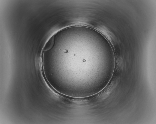 X0000115271391200911061259