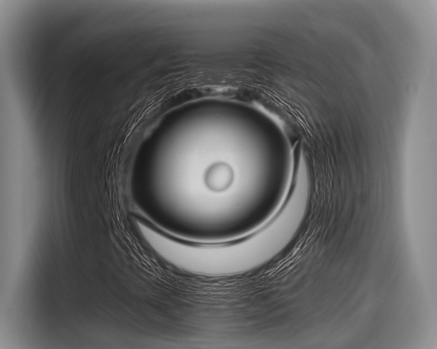 X0000115271393200911061258