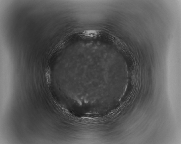 X0000115271394200911061258