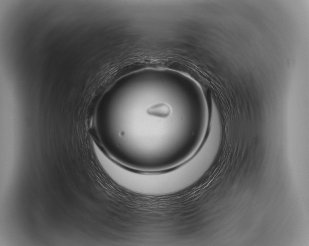 X0000115271395200911061258
