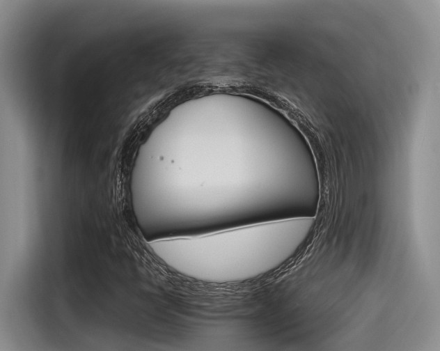 X0000115271398200911061258