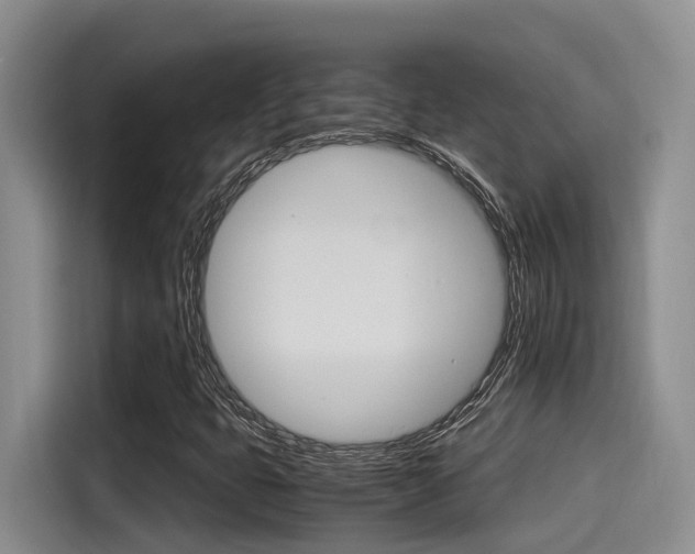X0000115271399200911061258
