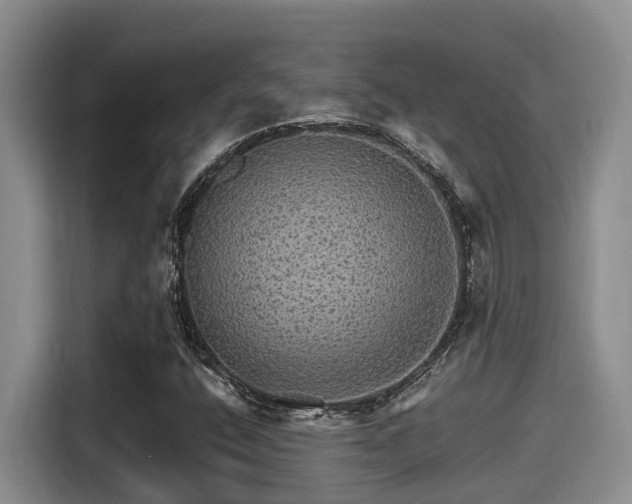 X0000115271400200911061258