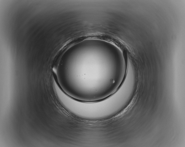 X0000115271401200911061258