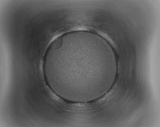 X0000115271404200911061258