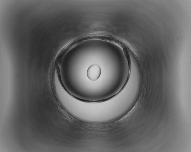 X0000115271405200911061258