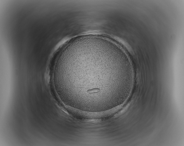 X0000115271406200911061258