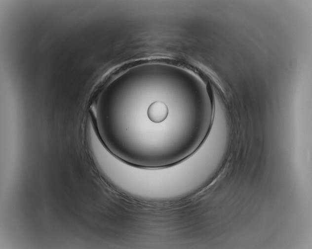 X0000115271407200911061258