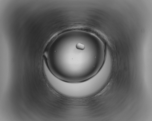 X0000115271409200911061258