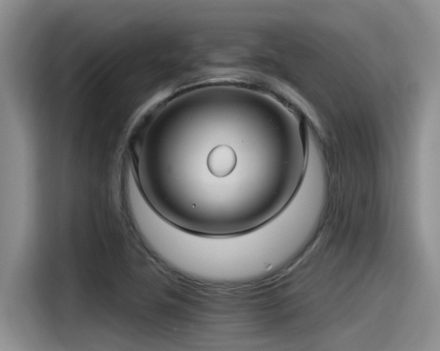 X0000115271411200911061258