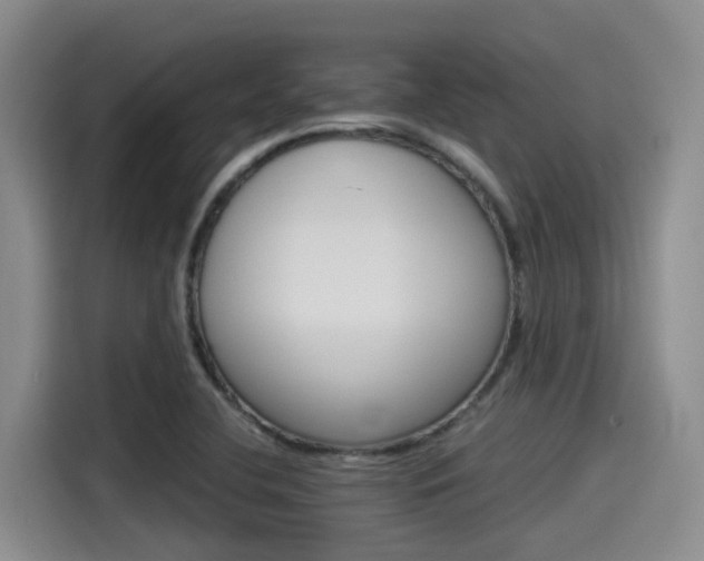 X0000115271412200911061258
