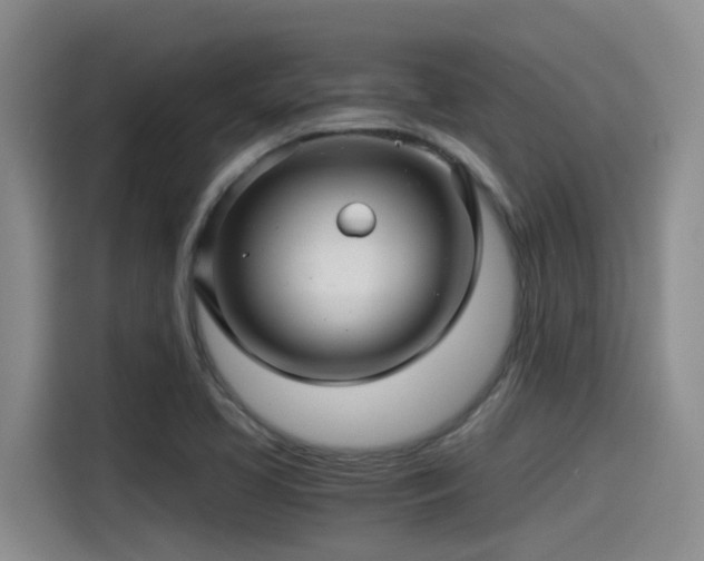 X0000115271413200911061258