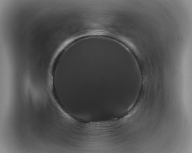 X0000115271414200911061259
